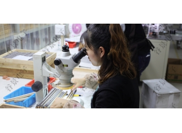 貼片共模電感方向如何區(qū)分你知道嗎？